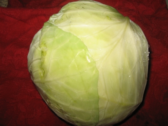 the one cabbage from my garden